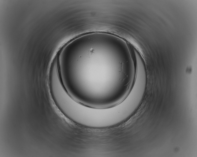 X0000096981088200802151325