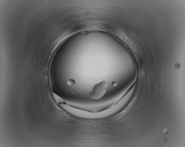 X0000096981089200802151325