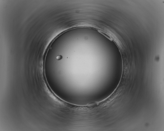 X0000096981092200802151325