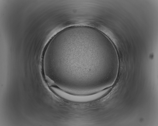 X0000096981093200802151325