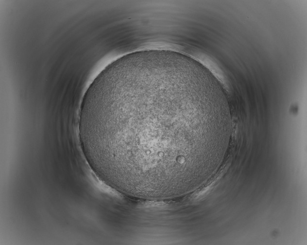 X0000096981094200802151325
