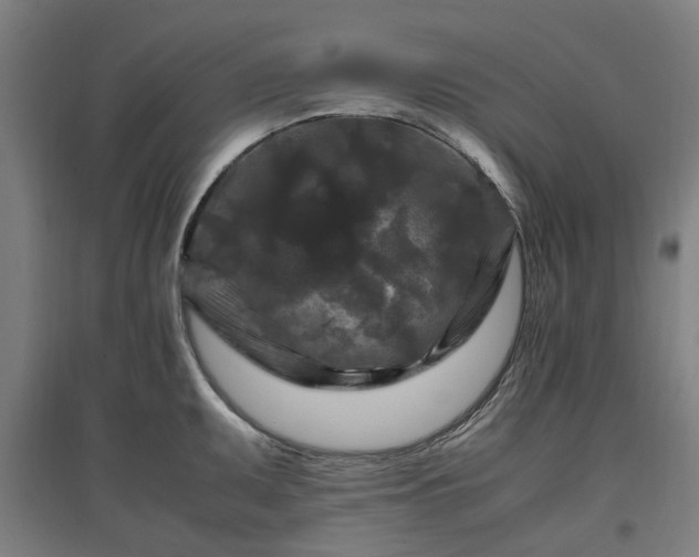 X0000096981095200802151325