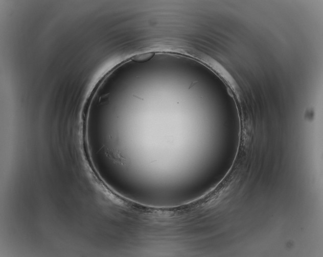 X0000096981096200802151325