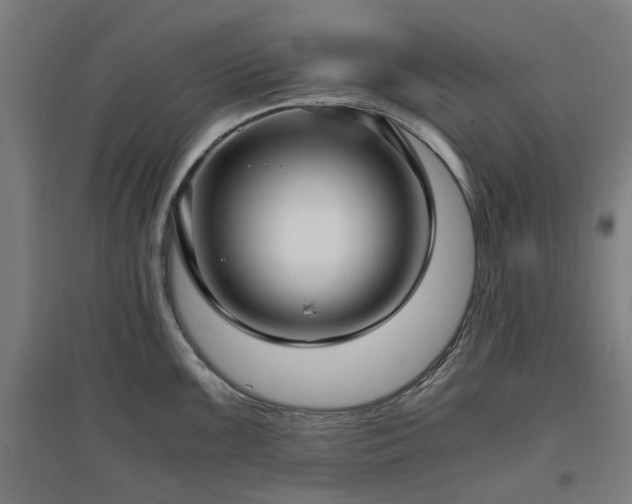 X0000096981099200802151325