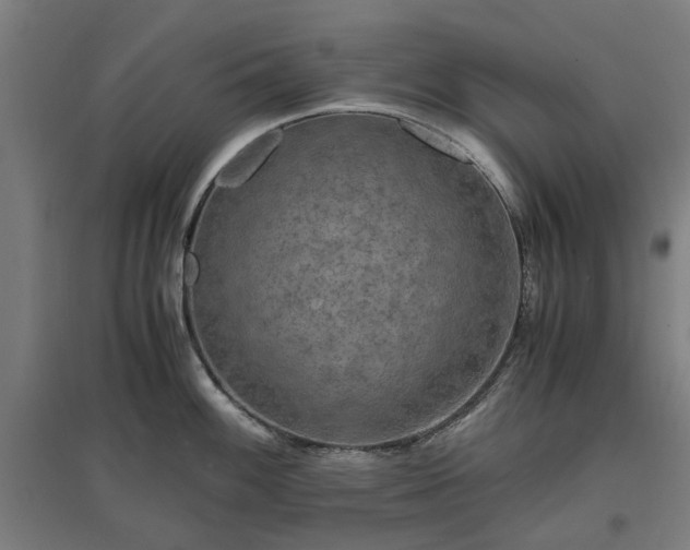 X0000096981100200802151325