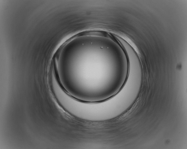 X0000096981101200802151325