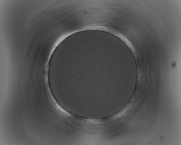 X0000096981102200802151325