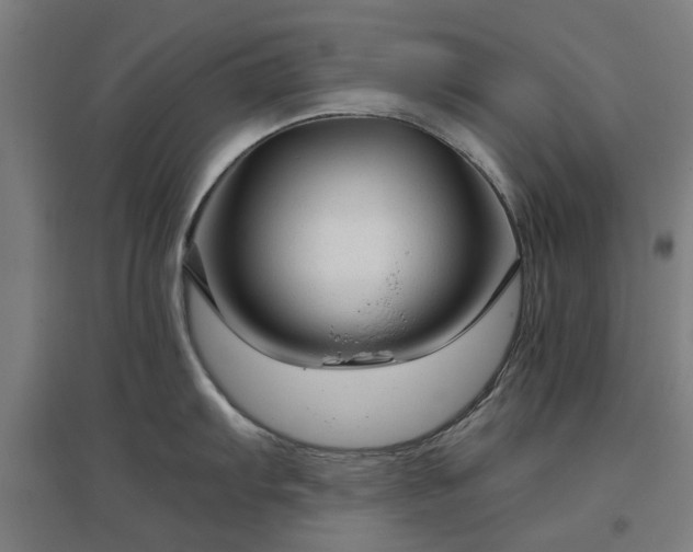 X0000096981103200802151325