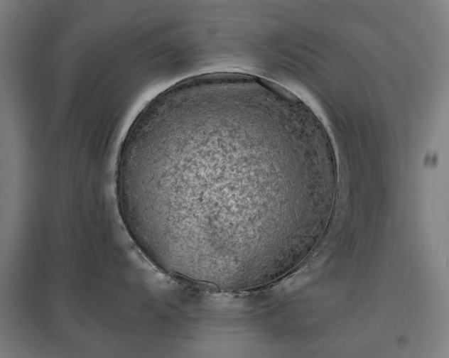 X0000096981104200802151325