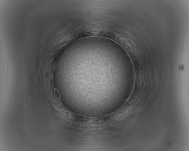 X0000096981105200802151324