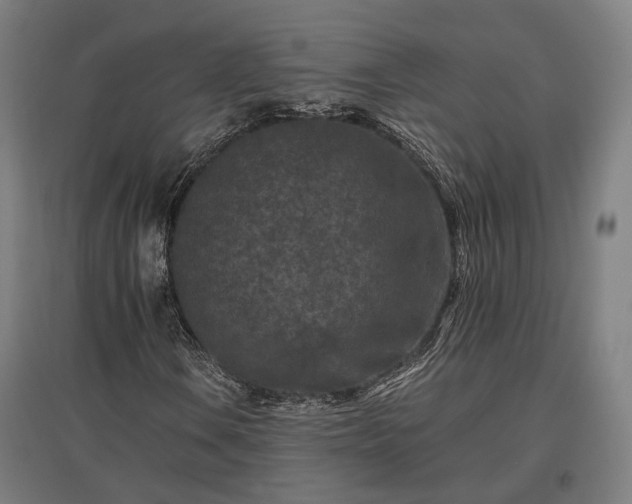 X0000096981106200802151324