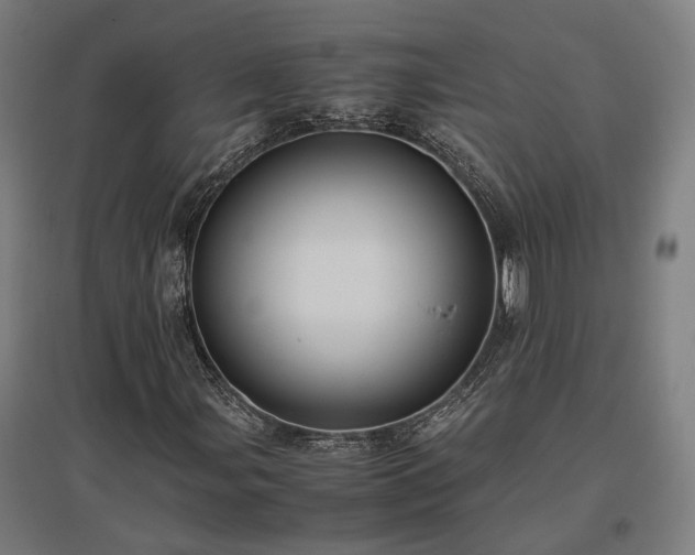 X0000096981107200802151324