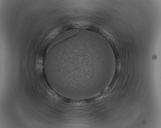 X0000096981108200802151324