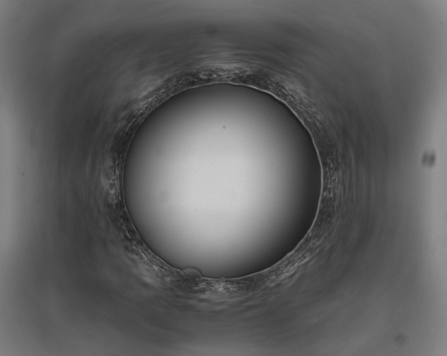 X0000096981109200802151324