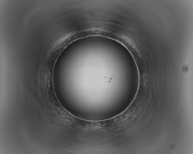 X0000096981111200802151324