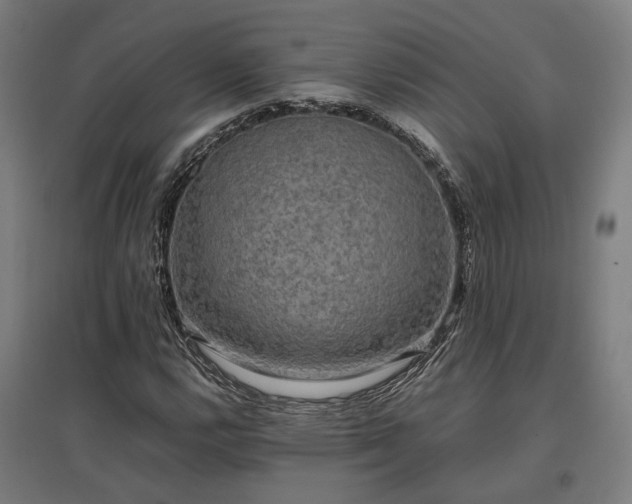 X0000096981112200802151324