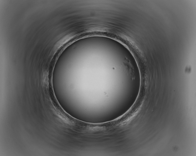 X0000096981113200802151324