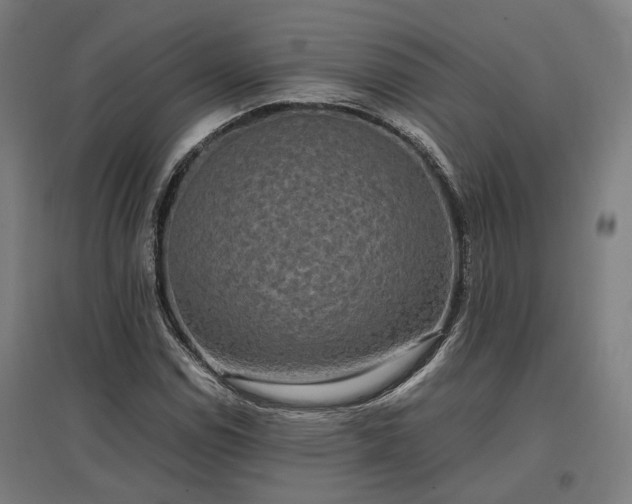 X0000096981114200802151324