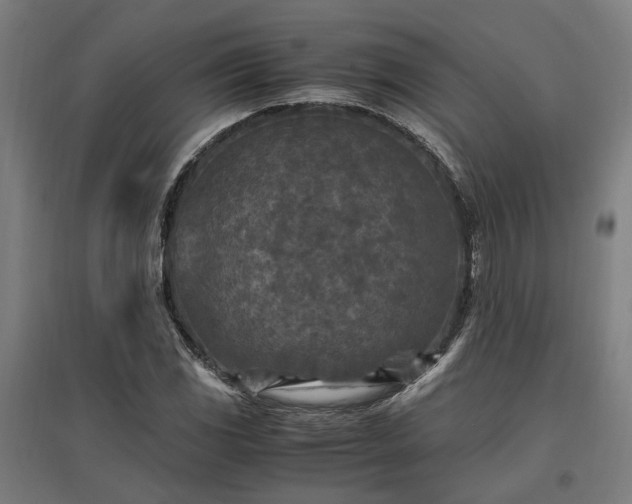 X0000096981117200802151324