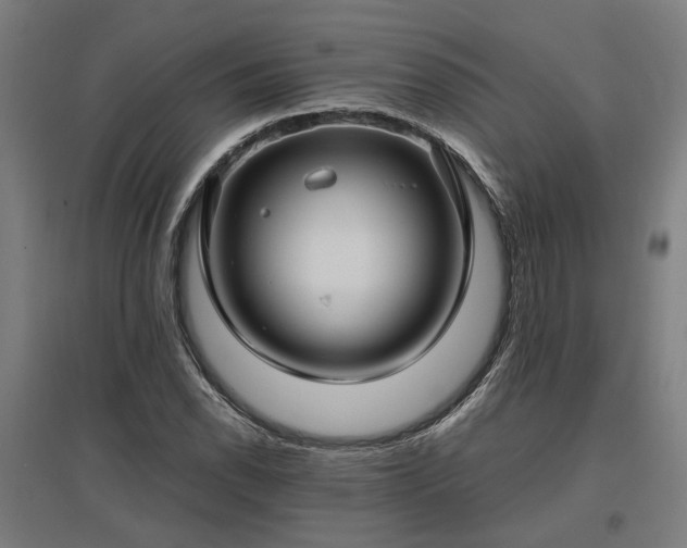 X0000096981118200802151324