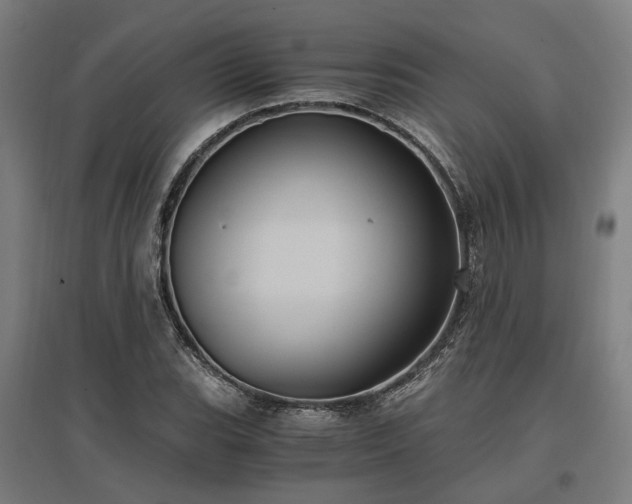 X0000096981119200802151324