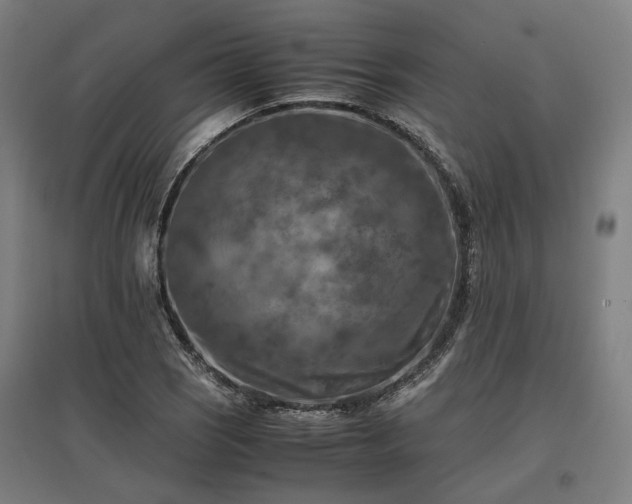 X0000096981121200802151324