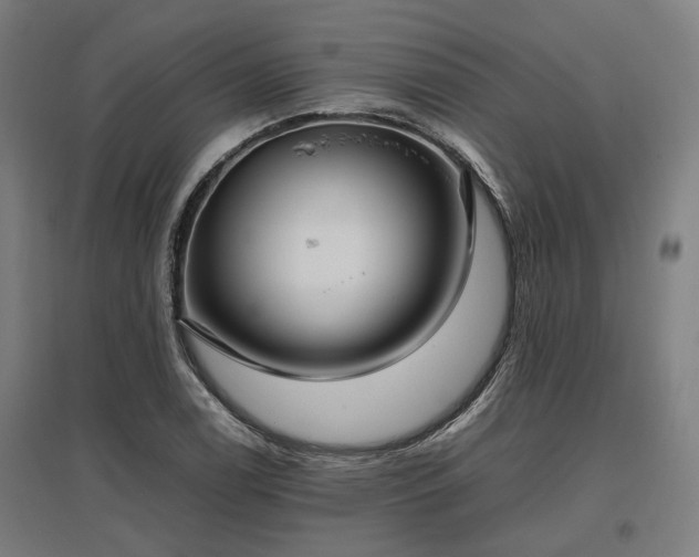 X0000096981122200802151324