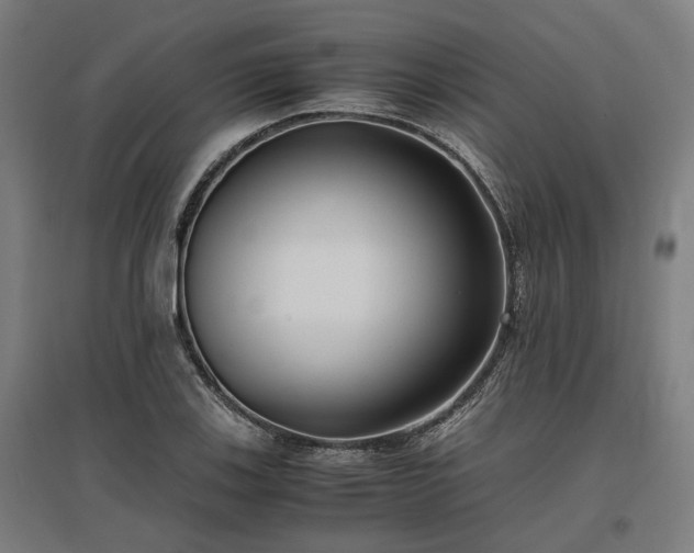 X0000096981123200802151324