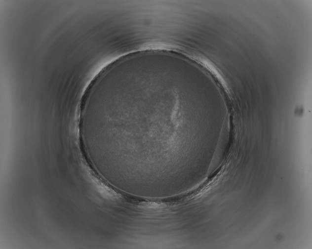 X0000096981124200802151324