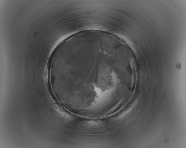 X0000096981125200802151324