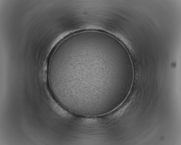 X0000096981126200802151324