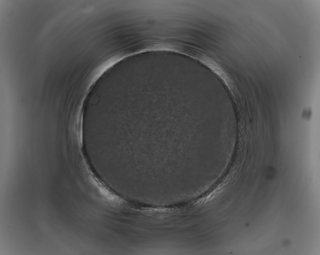 X0000096981127200802151324