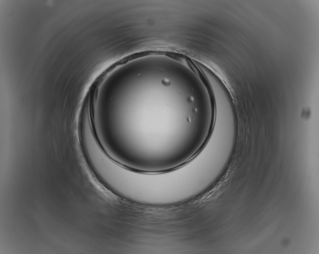 X0000096981128200802151324