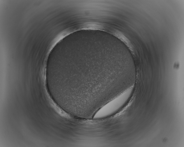 X0000096981130200802151324