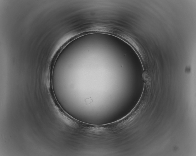 X0000096981131200802151324