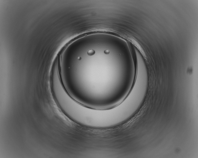 X0000096981132200802151324