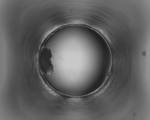 X0000096981134200802151324