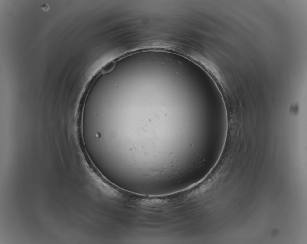 X0000096981135200802151324