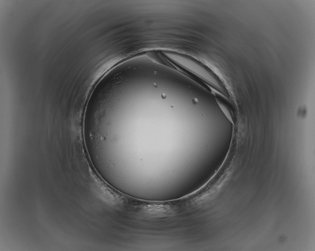 X0000096981137200802151324