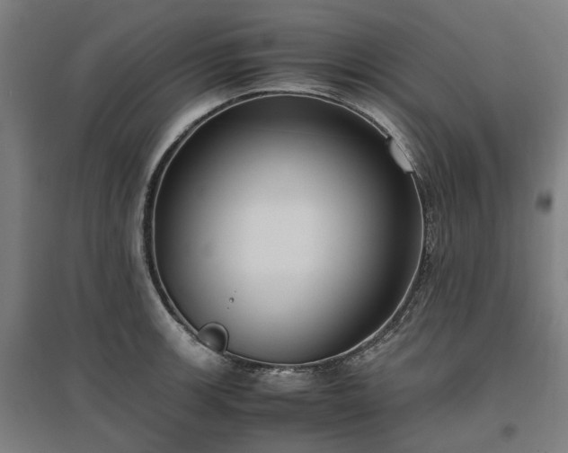 X0000096981139200802151324