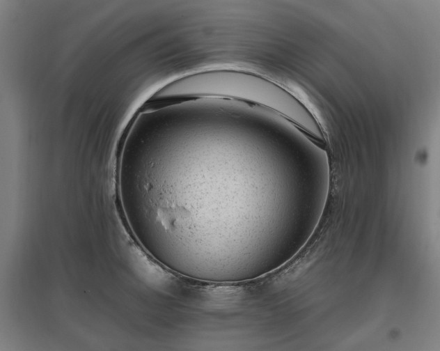 X0000096981140200802151324