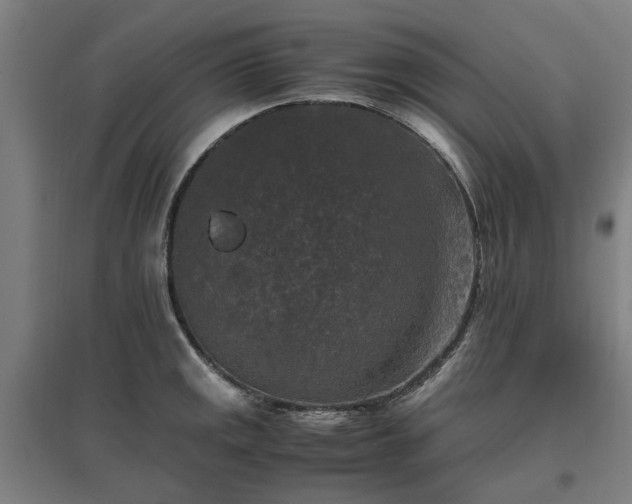 X0000096981141200802151324