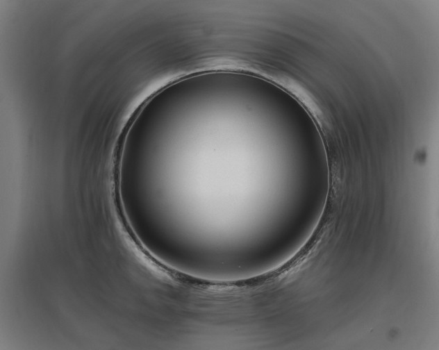 X0000096981142200802151324