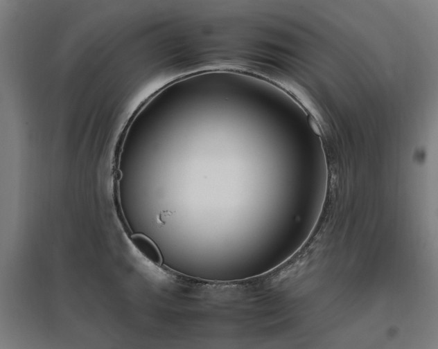 X0000096981143200802151324