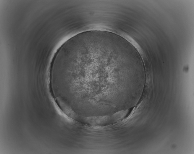 X0000096981144200802151324