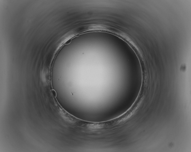 X0000096981145200802151324