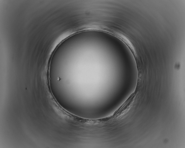 X0000096981146200802151324