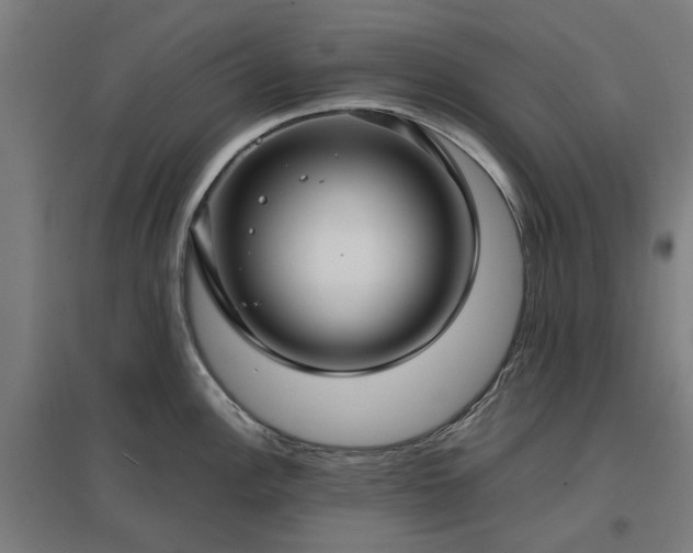 X0000096981148200802151324