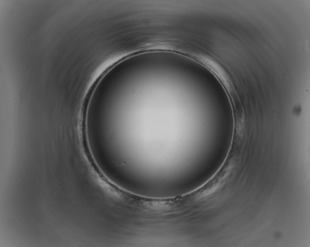 X0000096981149200802151324