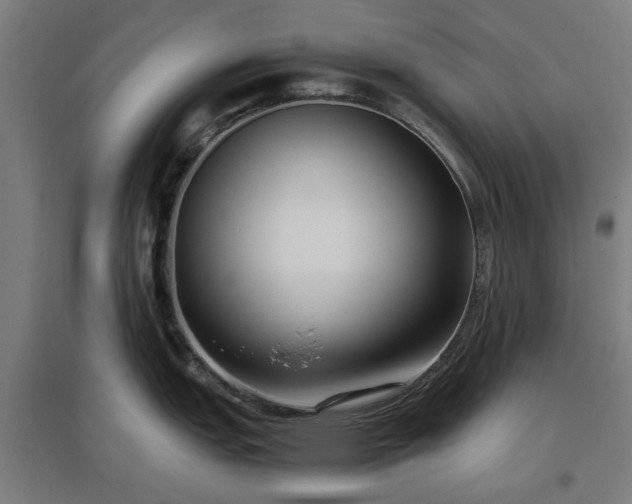 X0000096981151200802151325